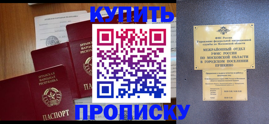 прописка в квартире в Лесном